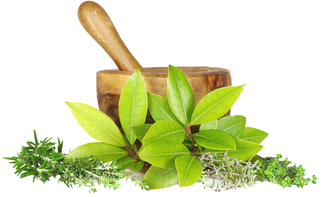 ayurveda kruiden